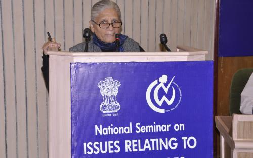 National Seminar on “ISSUES RELATING TO NRI MARRIAGES” Photo(S)