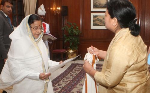 A delegation from the Commission visited her Excellency the President of India, Smt Pratibha Patil